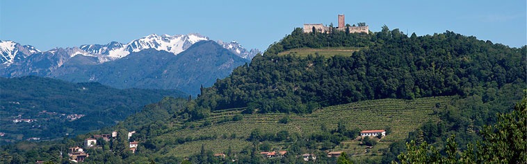 I vigneti e l'azienda agricola