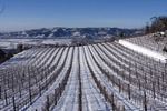 Il terreno ed il clima